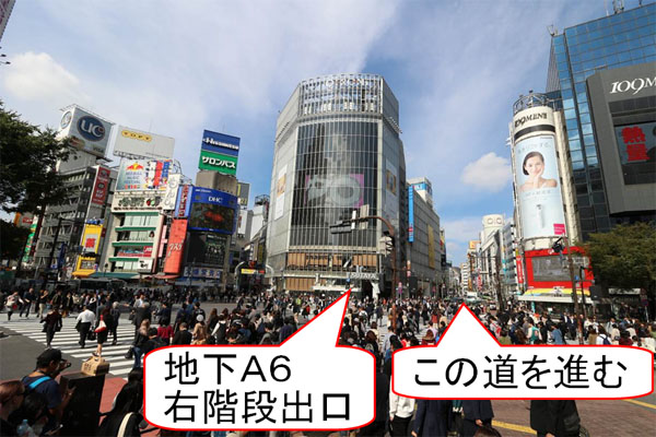 �n�`���O�̗l�q